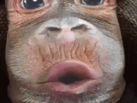 20171206231215_tliaksbk.gif